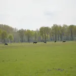 Pet-friendly Getaway