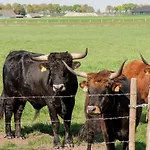 Pet-friendly Getaway Vakantiehuis *