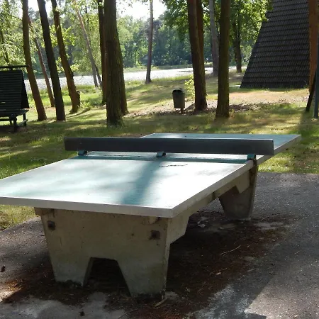Tranquil In Limburg Amid A Forest Stramproy