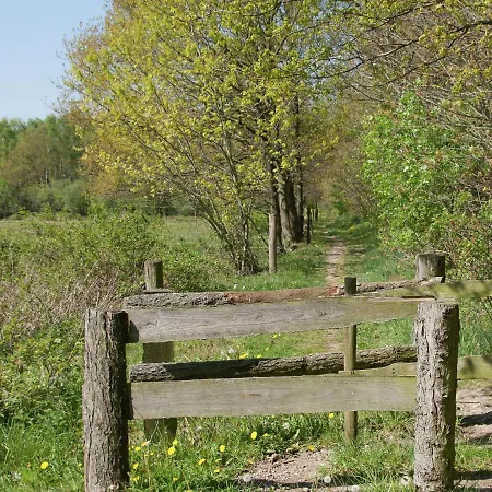 Tranquil In Limburg Amid A Forest Stramproy