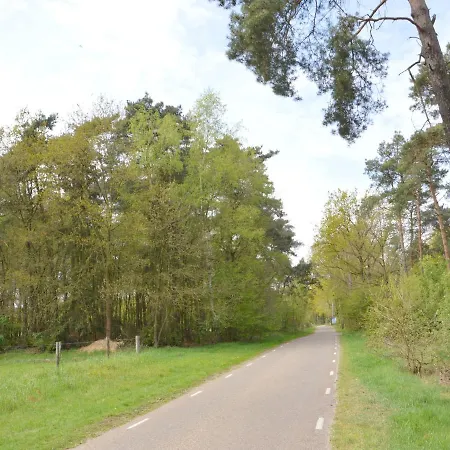 Tranquil In Limburg Amid A Forest Holiday home *