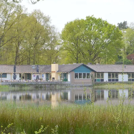 Tranquil In Limburg Amid A Forest *