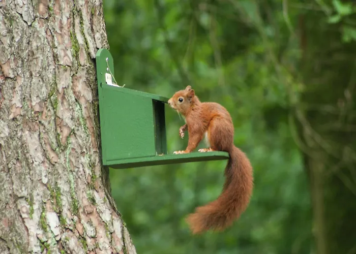 Pet-friendly Getaway Stramproy