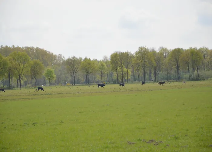 Pet-friendly Getaway