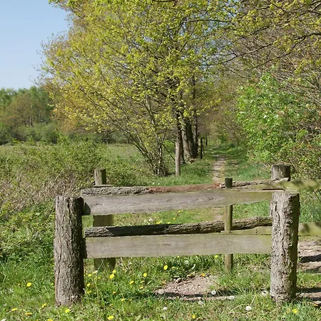 Pet-friendly Getaway