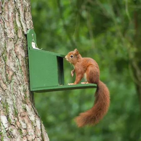 Pet-friendly Getaway Stramproy