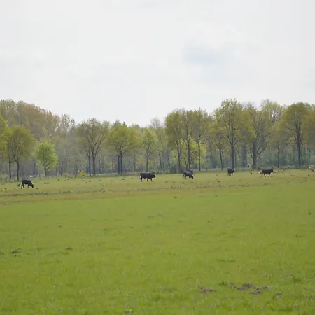 Pet-friendly Getaway