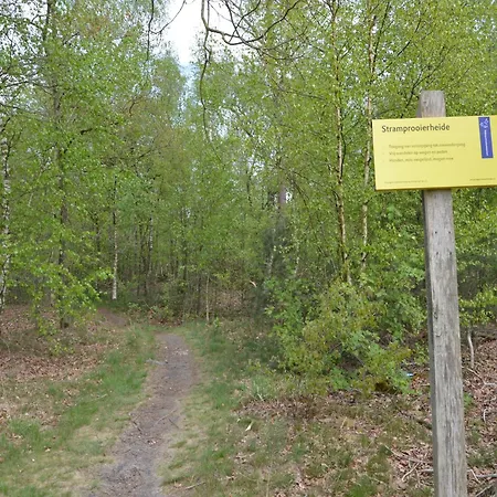 Pet-friendly Getaway