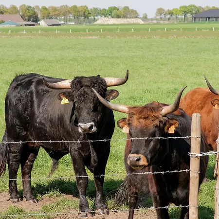 Pet-friendly Getaway Dom wakacyjny *