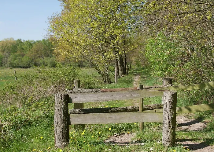 Pet-friendly Getaway