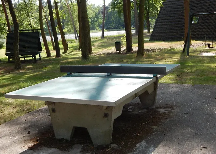 Pet-friendly Getaway 別荘 Stramproy