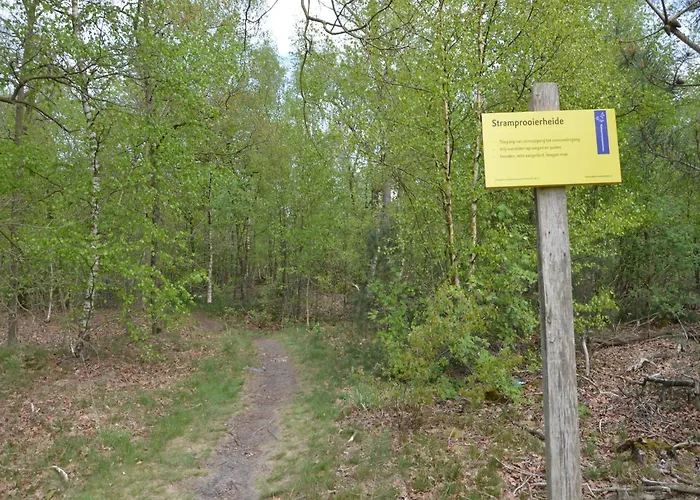 Pet-friendly Getaway