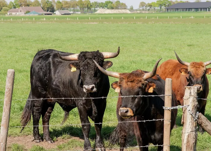 Pet-friendly Getaway 別荘 *